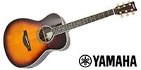 YAMAHA / LS-TA BS