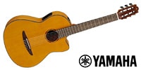 YAMAHA / NCX1FMNT