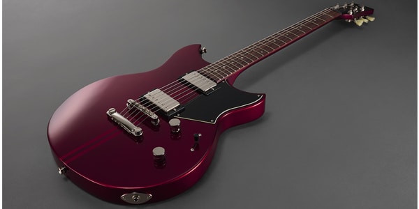 YAMAHA ( ヤマハ )  / RSE20 RCP画像4