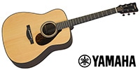 YAMAHA / FG7 R NATURAL