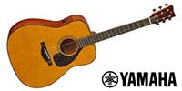 YAMAHA / FGX5 GLOSS
