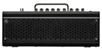 YAMAHA / THR30II　Wireless　TAK MATSUMOTO