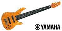 YAMAHA / TRB-JP2 AMBER