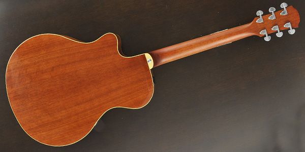 YAMAHA / APX700II NT 画像3