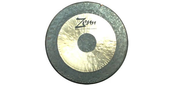 ZENN/ZGO20