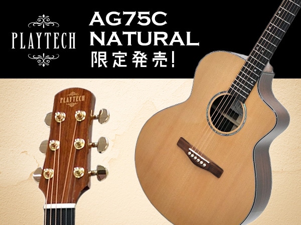 PLAYTECHよりハイエンド・アコースティックギターを限定発売！
