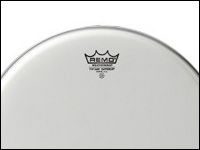 REMO ヴィンテージEコーテッド登場