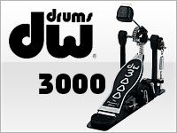DWのコストパフォーマンスに優れた3000が入荷しました。