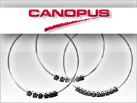 CANOPUS フレックスフレーム入荷