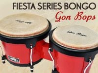 GON BOPSエントリーモデルのボンゴFiestaシリーズ入荷しました。