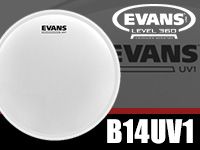話題のEVANS / UV1ドラムヘッドが入荷！