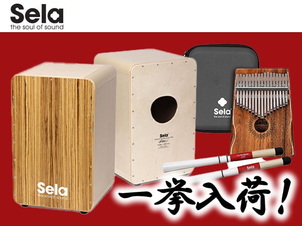 SELA CAJON一挙入荷！