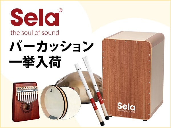 SELA CAJONパーカッション一挙入荷！