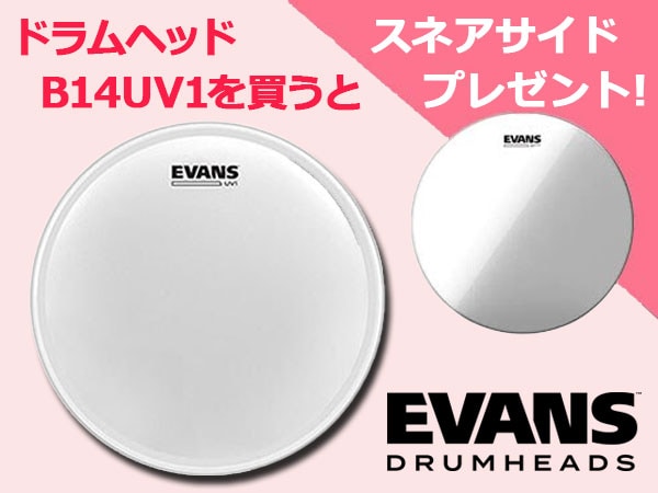 EVANSドラムヘッドB14UV1を買うとスネアサイドプレゼント！