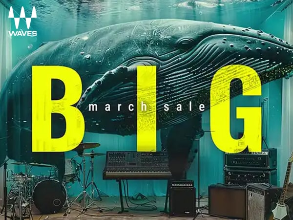 【期間限定】Waves BIG Marchセール開始！
