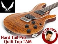 YAMAちゃんの「こんなの入りました」DEAN GUITARS