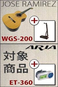 ラミレス125周年キャンペーン & ARIAグッドチューニングキャンペーン実施中 !