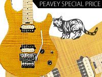 PEAVEYギター、ベース　サマーキャンペーン開始 !
