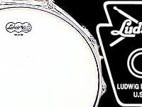 LUDWIG LS560Tサテンウッドシリーズ入荷