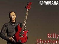 ビリー・シーン シグネイチャーのニューモデル待望の入荷 !