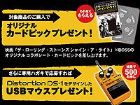 2008-2009 AUTHENTIC BOSSキャンペーン