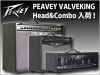 PEAVEY VALVEKING Head&Combo 入荷 !