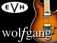 EVH Wolfgangが入荷しました