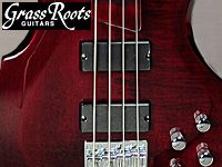 フォレストベース・フレイムメイプル仕様入荷 !