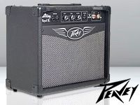 PEAVEY VALVEKING ROYAL8誌上レポート パート2