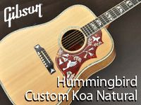 GIBSONの『Hummingbird』が入荷しました！