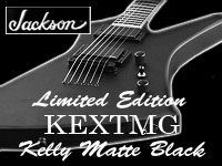 JACKSON限定品入荷