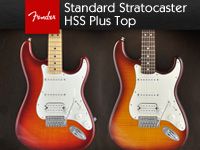 FENDER新製品入荷！