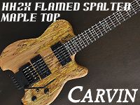 CARVINアラン・ホールズワースモデル入荷！