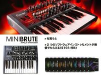 「MINIBRUTE」ソフトウェアシンセ無償提供キャンペーン実施中！