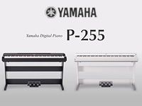 YAMAHAの人気デジタルピアノPシリーズに「P-255」が新登場！