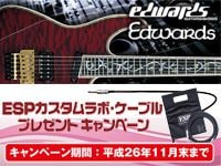 EDWARDSギター買うなら今！キャンペーン