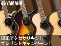 YAMAHA エレアコ  アクセサリーキット付属キャンペーン！