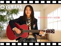 YAMAHAのアコギ「FG&FSシリーズ」試奏&レビュー