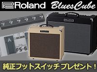 Blues Cubeシリーズ 純正フットスイッチ プレゼントキャンペーン開始 
