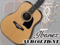 IBANEZより限定12本の特別仕様アコースティックギター登場！