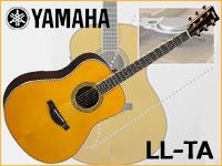YAMAHAより新技術を使ったアコギが登場！