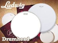 LUDWIGドラムヘッド、好評発売中！