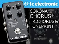 名器の装いを纏った限定仕様のCORONA CHORUSが発売！