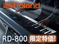 ROLAND「RD-800」限定特価!