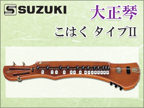 超格安一点 電気大正琴セット SUZUKI 大正琴 こはく タイプIIセット