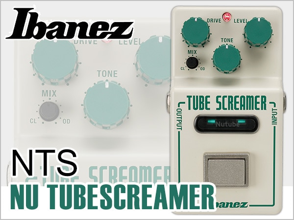 Ibanez / "NTS" NU TUBESCREAMER待望の入荷