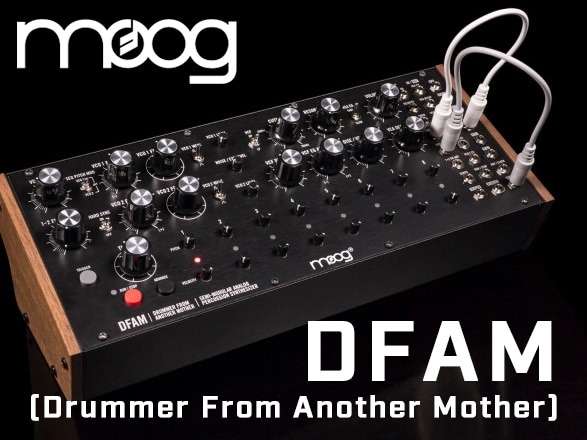 パーカッション・シンセサイザー MOOG / DFAM 入荷！