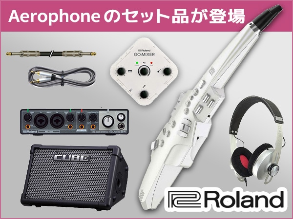 Roland デジタル管楽器 AE10 お得なセット登場！