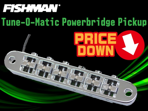 FISHMAN/Tune-O-Matic Powerbridge Pickupをお買い得価格で！