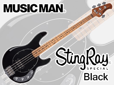 定番アクティブ・エレキベースMUSICMAN / Stingray Special入荷！